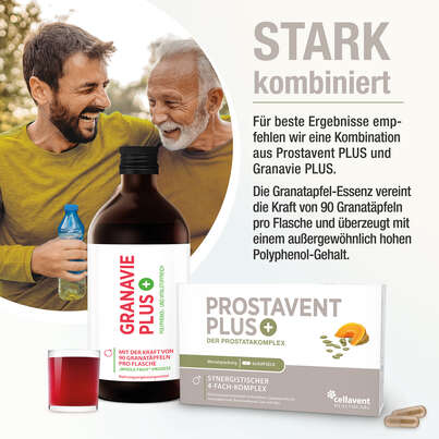 Prostata Kapseln – Pflanzenkomplex aus Kürbiskern, Sägepalme, Brennnessel und Granatapfel – 60 Stück, A-Nr.: 5895823 - 04