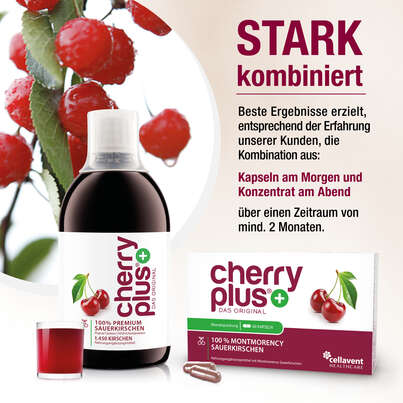 Montmorency Sauerkirsch Konzentrat – hochkonzentriert – 1.450 Montmorency-Sauerkirschen pro Flasche, A-Nr.: 4753937 - 03