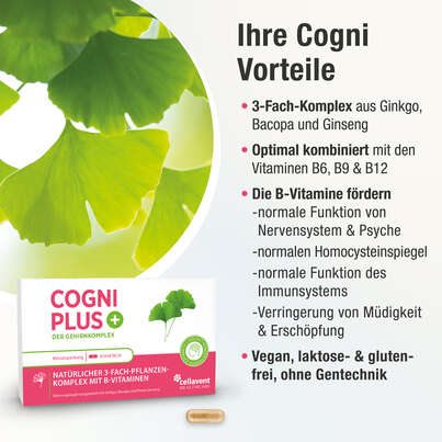 Der Gehirnkomplex aus Ginkgo, Bacopa und Panax Ginseng – hochkonzentriert mit B-Vitaminen – 30 Kapseln, A-Nr.: 5895697 - 03