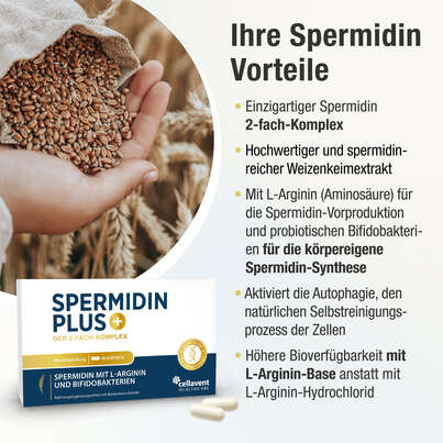 Spermidin Kapseln – Weizenkeim-Extrakt – mit L-Arginin und Bifidobakterien – 2-fach Komplex steigert körpereigene Spermidin Synthese, A-Nr.: 5895846 - 03