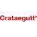 Sie sehen eine Packung Crataegutt® Flüssigkeit zum Einnehmen, Produktbild: 05 Crataegutt® Flüssigkeit zum Einnehmen, A-Nr.: 4210295 - 05