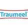 Sie sehen eine Packung Traumeel®-Tabletten, Produktbild: 05 Traumeel®-Tabletten, A-Nr.: 0177141 - 05