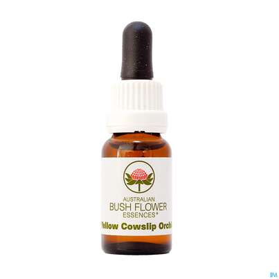 Sie sehen eine Packung Aub Yellow Cowslip Orchid, Produktbild: 01 Aub Yellow Cowslip Orchid, A-Nr.: 2627482 - 01