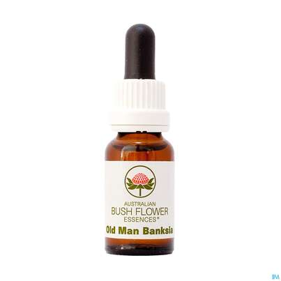 Sie sehen eine Packung Aub Old Man Banksia, Produktbild: 01 Aub Old Man Banksia, A-Nr.: 2627200 - 01