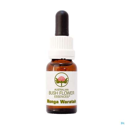 Sie sehen eine Packung Aub Monga Waratah, Produktbild: 01 Aub Monga Waratah, A-Nr.: 3130298 - 01