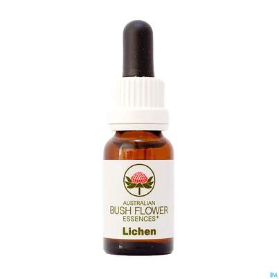 Sie sehen eine Packung Aub Lichen Companion, Produktbild: 03 Aub Lichen Companion, A-Nr.: 3889043 - 03