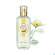 Sie sehen eine Packung Roger & Gallet The Vert/gruener Tee Eau De Cologne 100ml, Produktbild: 04 Roger & Gallet The Vert/gruener Tee Eau De Cologne 100ml, A-Nr.: 3417611 - 04