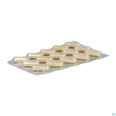 Enzyme Menssana Kapseln 75st, A-Nr.: 3082903 - 06