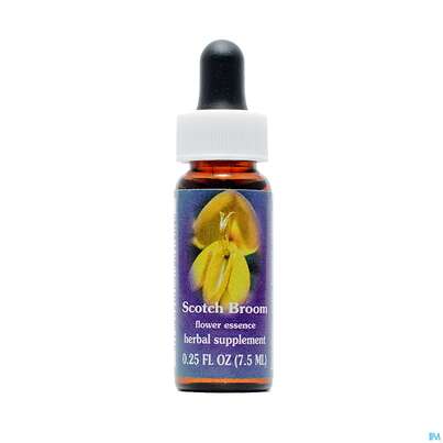 Sie sehen eine Packung Fes Scotch Broom 7,5ml, Produktbild: 01 Fes Scotch Broom 7,5ml, A-Nr.: 2154902 - 01