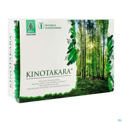 Sie sehen eine Packung Kinotakara Vitalpads 10st, Produktbild: 02 Kinotakara Vitalpads 10st, A-Nr.: 2859293 - 02