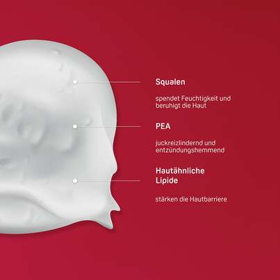 PHYSIOGEL® Calming Relief A.I. Lipidbalsam, A-Nr.: 5388368 - 03