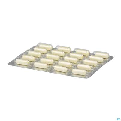 Sie sehen eine Packung Darmflora Plus Dr.wolz Uro Kapseln Nr 60520 40st, Produktbild: 06 Darmflora Plus Dr.wolz Uro Kapseln Nr 60520 40st, A-Nr.: 5186707 - 06