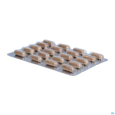 Sie sehen eine Packung Dr.wolz Thromboflow Kapseln 60653 20st, Produktbild: 08 Dr.wolz Thromboflow Kapseln 60653 20st, A-Nr.: 4164810 - 08
