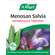 Sie sehen eine Packung A.Vogel Menosan Salvia, Produktbild: 01 A.Vogel Menosan Salvia, A-Nr.: 4296256 - 01