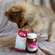 OMNi-BiOTiC® Cat &amp; Dog, 60g, A-Nr.: 5200301 - 03