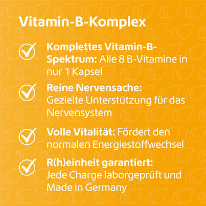 R(h)ein Nutrition Vitamin-B-Komplex Kapseln hochdosiert, A-Nr.: 5987235 - 03