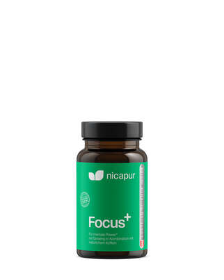 nicapur Focus+, A-Nr.: 5968367 - 01
