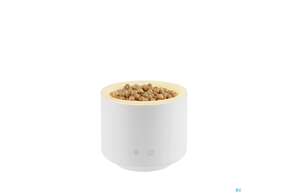 Taoasis Aroma/stream Wood Mini Weiss 1st, A-Nr.: 5904798 - 01