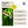 Propolis Tropfen, A-Nr.: 6022712 - 02
