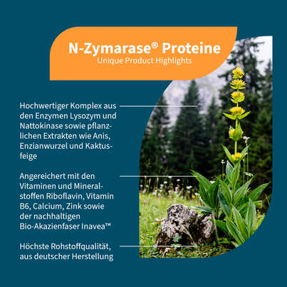 Sie sehen eine Packung NatuGena N-Zymarase® Proteine Kapseln, Produktbild: 02 NatuGena N-Zymarase® Proteine Kapseln, A-Nr.: 5901280 - 02