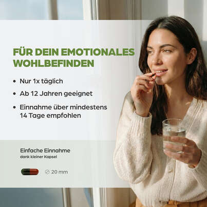 Dr. Böhm Johanniskraut, A-Nr.: 2426849 - 05