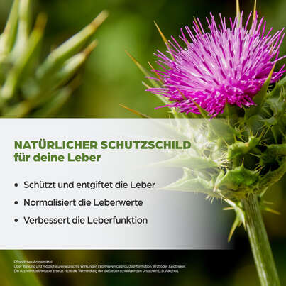 Dr. Böhm Mariendistel, A-Nr.: 3922378 - 03