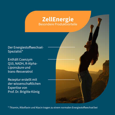 Sie sehen eine Packung NatuGena ZellEnergie Kapseln, Produktbild: 02 NatuGena ZellEnergie Kapseln, A-Nr.: 5404127 - 02