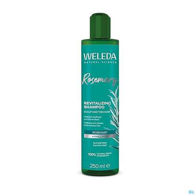 Sie sehen eine Packung Shampoon Weleda Rosmarin Revitalizing 250ml, Produktbild: 05 Shampoon Weleda Rosmarin Revitalizing 250ml, A-Nr.: 5911083 - 05