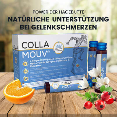 CollaMouv® Original, A-Nr.: 6118033 - 04