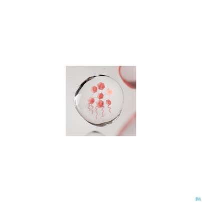 Sie sehen eine Packung Avene Xeracalm/a.d Beruhigendes Konzentrat 40ml, Produktbild: 22 Avene Xeracalm/a.d Beruhigendes Konzentrat 40ml, A-Nr.: 5961388 - 22