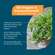 NatuGena Bio-Oregano- &amp; Schwarzkümmelöl, A-Nr.: 6139360 - 02