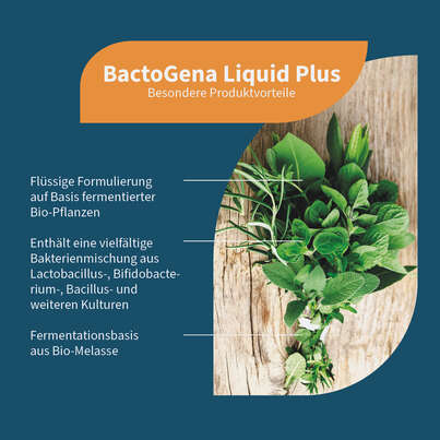Sie sehen eine Packung NatuGena BactoGena Liquid Plus, Produktbild: 02 NatuGena BactoGena Liquid Plus, A-Nr.: 6139348 - 02