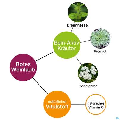 Beinwohl Aktiv Kraeuterfit Elixier Bio Kraeuter Fruechte Alkoholfrei 330ml, A-Nr.: 3961734 - 05