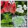 Sie sehen eine Packung Beinwohl Aktiv Kraeuterfit Elixier Bio Kraeuter Fruechte Alkoholfrei 330ml, Produktbild: 09 Beinwohl Aktiv Kraeuterfit Elixier Bio Kraeuter Fruechte Alkoholfrei 330ml, A-Nr.: 3961734 - 09