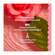 Sie sehen eine Packung Seifen Roger & Gallet Wellbeing/soap/box Heritage Rose The 100g, Produktbild: 03 Seifen Roger & Gallet Wellbeing/soap/box Heritage Rose The 100g, A-Nr.: 5733492 - 03