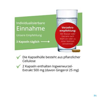 Sie sehen eine Packung Ingwer Kapseln Extrakt Dr.wolz Nr 60547 120st, Produktbild: 04 Ingwer Kapseln Extrakt Dr.wolz Nr 60547 120st, A-Nr.: 4297741 - 04