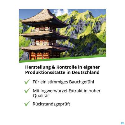 Sie sehen eine Packung Ingwer Kapseln Extrakt Dr.wolz Nr 60547 120st, Produktbild: 07 Ingwer Kapseln Extrakt Dr.wolz Nr 60547 120st, A-Nr.: 4297741 - 07