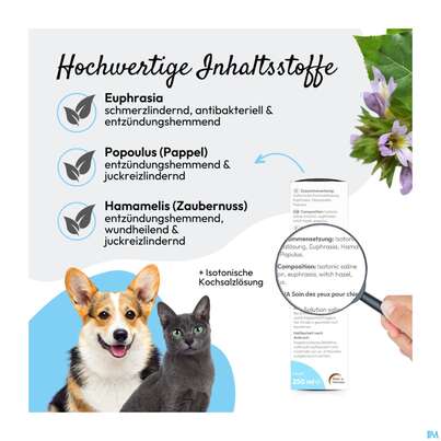 Sie sehen eine Packung Veterinaerprodukte Pha Augenpflege Hund +katze Lösung 20ml, Produktbild: 10 Veterinaerprodukte Pha Augenpflege Hund +katze Lösung 20ml, A-Nr.: 4996798 - 10