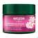 Sie sehen eine Packung Weleda Wildrose/+weisser Tee Glaettende Nachtpflege 40ml, Produktbild: 05 Weleda Wildrose/+weisser Tee Glaettende Nachtpflege 40ml, A-Nr.: 5838179 - 05