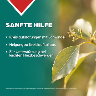 Sie sehen eine Packung Apozema® Nr. 18 Herz- und Kreislauf-Tropfen, Produktbild: 03 Apozema® Nr. 18 Herz- und Kreislauf-Tropfen, A-Nr.: 0987934 - 03