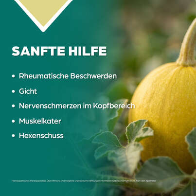 Sie sehen eine Packung Apozema® Nr. 24 Nervenschmerzen-Tropfen, Produktbild: 03 Apozema® Nr. 24 Nervenschmerzen-Tropfen, A-Nr.: 0987897 - 03