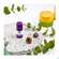 Sie sehen eine Packung Aetherische Oele Taoasis Bio Eucalyptus 5ml, Produktbild: 04 Aetherische Oele Taoasis Bio Eucalyptus 5ml, A-Nr.: 3163406 - 04