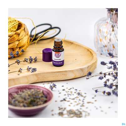 Aetherische Oele Taoasis Bio/demeter Lavendel Fein 5ml, A-Nr.: 3164334 - 06