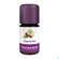 Sie sehen eine Packung Aetherische Oele Taoasis Bio Zypresse 5ml, Produktbild: 01 Aetherische Oele Taoasis Bio Zypresse 5ml, A-Nr.: 3167120 - 01