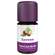 Sie sehen eine Packung Aetherische Oele Taoasis Bio Zypresse 5ml, Produktbild: 02 Aetherische Oele Taoasis Bio Zypresse 5ml, A-Nr.: 3167120 - 02