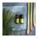 Aetherische Oele Primavera Lemongrass Bio 10ml, A-Nr.: 3160402 - 04