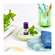 Sie sehen eine Packung Aetherische Oele Taoasis Bio/demeter Pfefferminze 5ml, Produktbild: 06 Aetherische Oele Taoasis Bio/demeter Pfefferminze 5ml, A-Nr.: 3165291 - 06