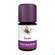Sie sehen eine Packung Aetherische Oele Taoasis Bio Zeder 5ml, Produktbild: 01 Aetherische Oele Taoasis Bio Zeder 5ml, A-Nr.: 3166899 - 01