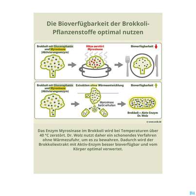 Sie sehen eine Packung Dr.wolz Brokkoliextrakt Kapseln +aktiv-enzym 60563 60st, Produktbild: 11 Dr.wolz Brokkoliextrakt Kapseln +aktiv-enzym 60563 60st, A-Nr.: 5133705 - 11
