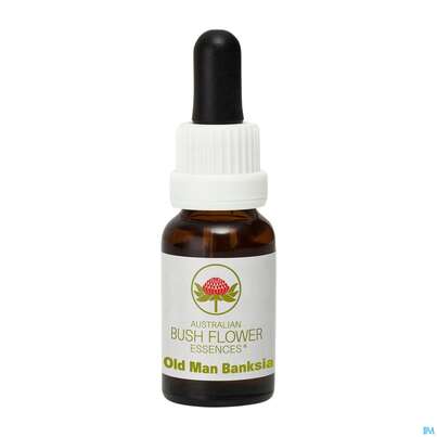 Sie sehen eine Packung Aub Old Man Banksia, Produktbild: 01 Aub Old Man Banksia, A-Nr.: 2627200 - 01